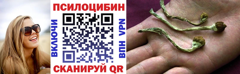Псилоцибиновые грибы Magic Shrooms  Западная Двина 